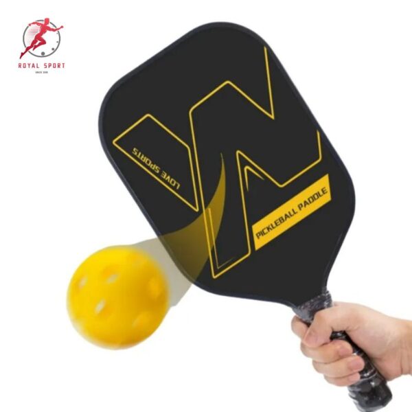 vợt pickleball PVN502