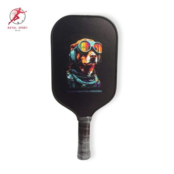 vợt pickleball PVN500